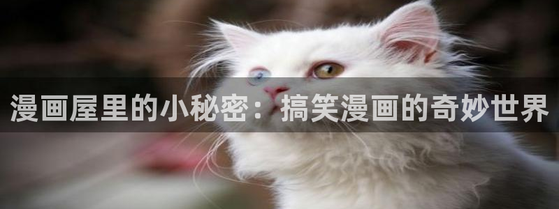 漫漫漫画最新网址